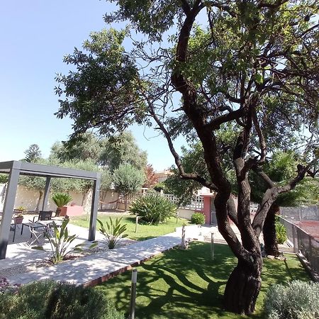 Bed&Breakfast Villa Nora Куарту-Сант'Элена Экстерьер фото